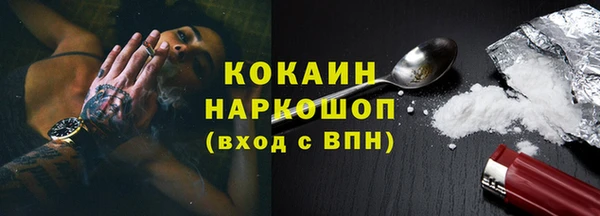 тгк Бородино
