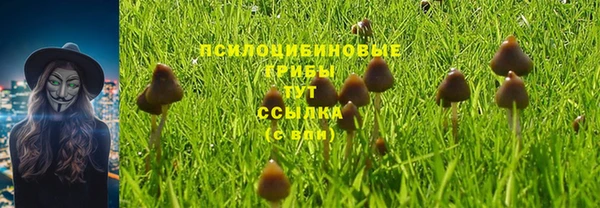 мет Верхний Тагил