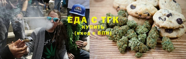 тгк Бородино
