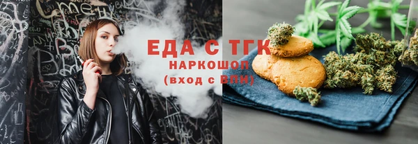 тгк Бородино