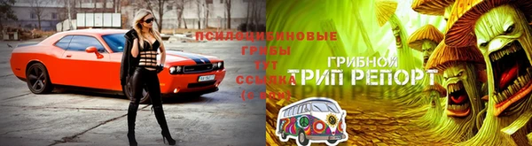 круглые Верея