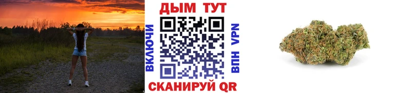 Бошки марихуана конопля  кракен онион  Сретенск 